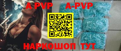 индика Сланцы