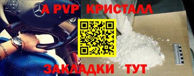 индика Сланцы