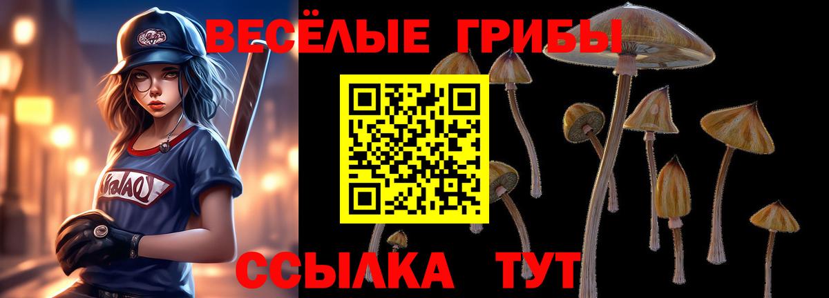 Галлюциногенные грибы Cubensis Иркутск