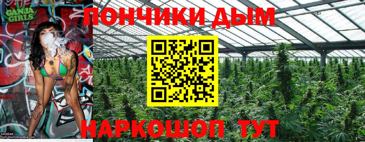 Марихуана план  Шишки марихуана ГИДРОПОН  Иркутск  Вход с VPN 